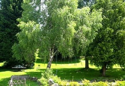 Hotel La Clairiere Chambon-sur-Dolore Exteriör bild